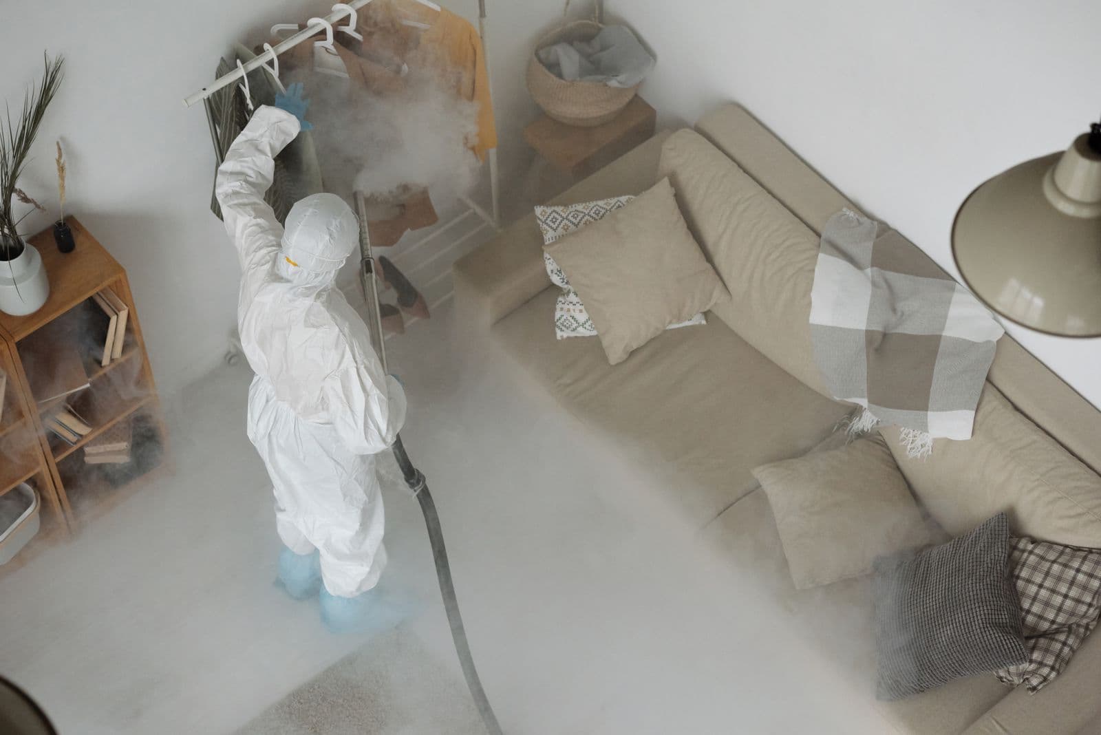 Bed Bug Pest Control Services Professionals