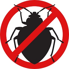 Bed Bugs Control Company In Pune, Mumbai, Bangalore, Delhi