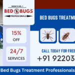 Professional Bed Bug Treatment in Pune