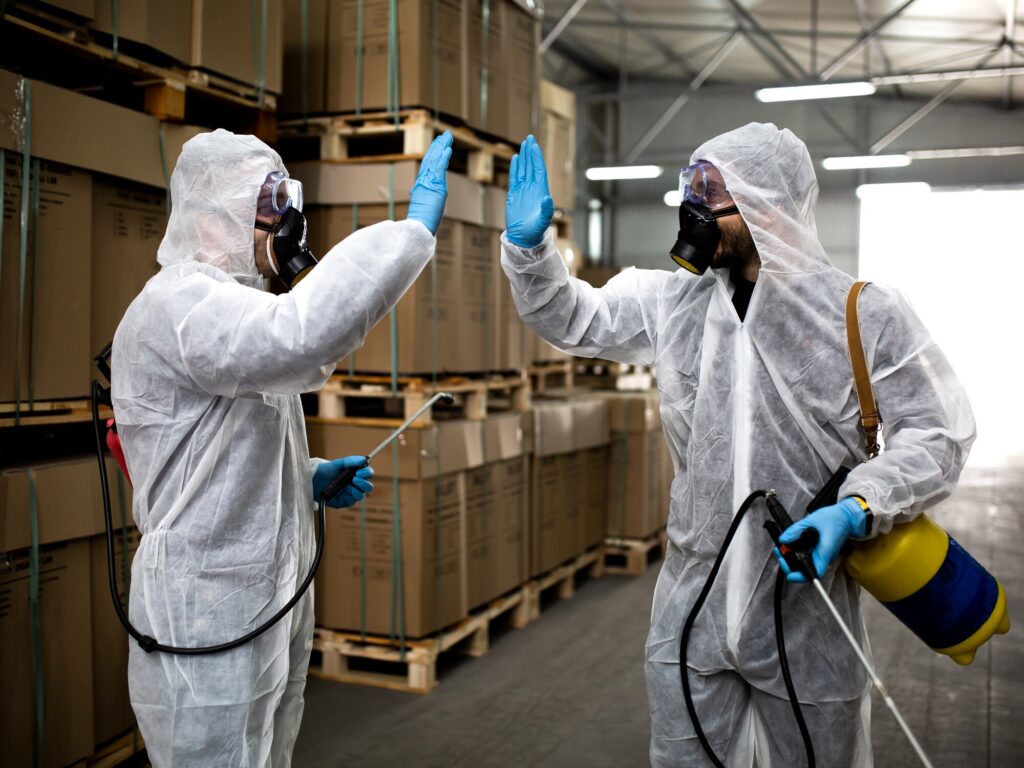 Pest Control Services in Bangalore