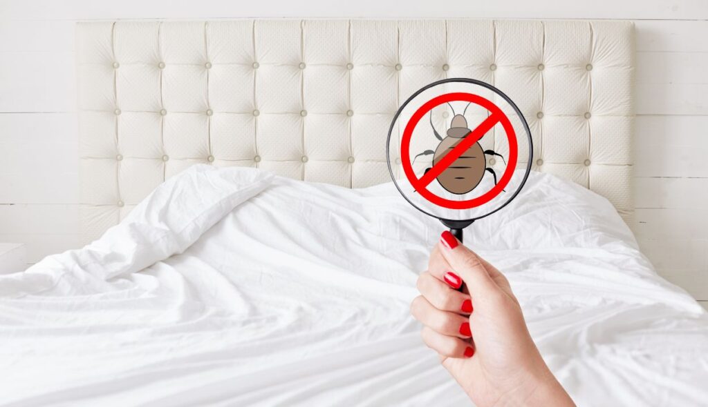 Pest Control Services in Bangalore