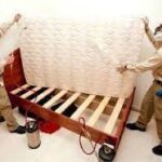 How to control bed bugs in Pune