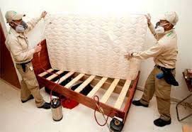 bed bug control in pune