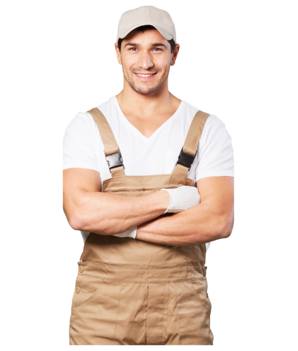 Bed Bugs Control Services