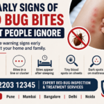 10 Early Signs of Bed Bug Bites Most People Ignore (And What to Do Next)