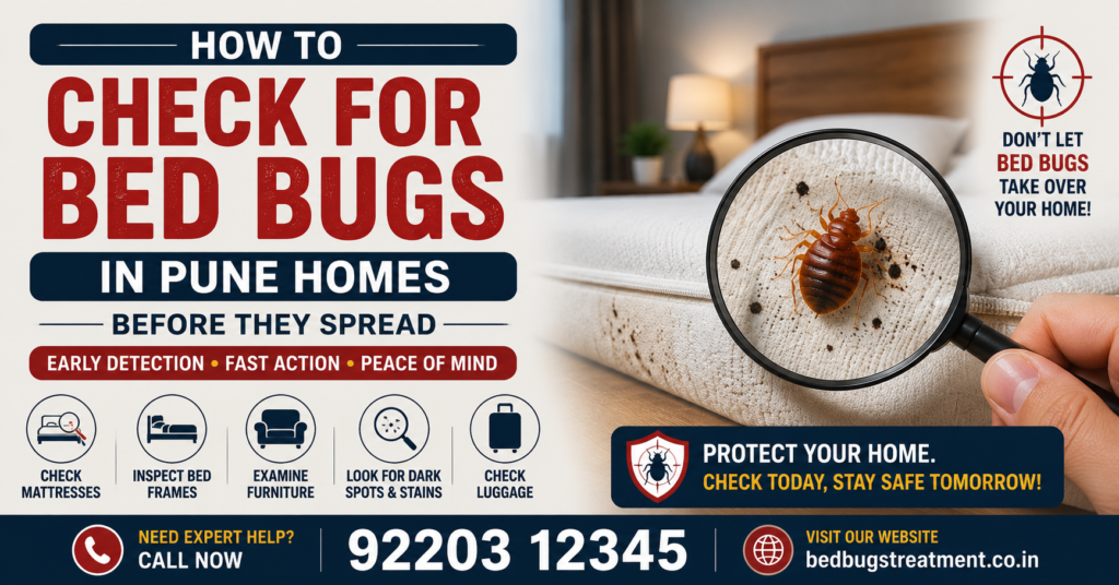 signs of bed bugs in pune