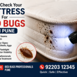 How To Check Your Mattress For Bed Bugs In Pune