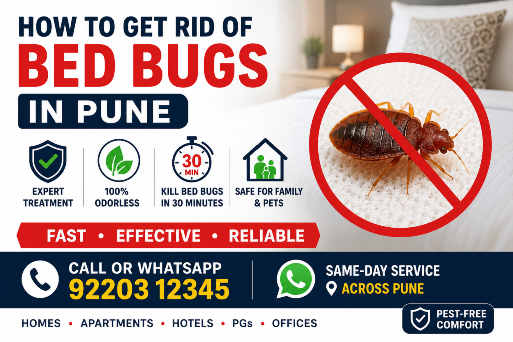 get rid of bed bugs in pune