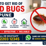 How to Get Rid of Bed Bugs in Pune: Expert Treatment Methods, Costs & Prevention Guide
