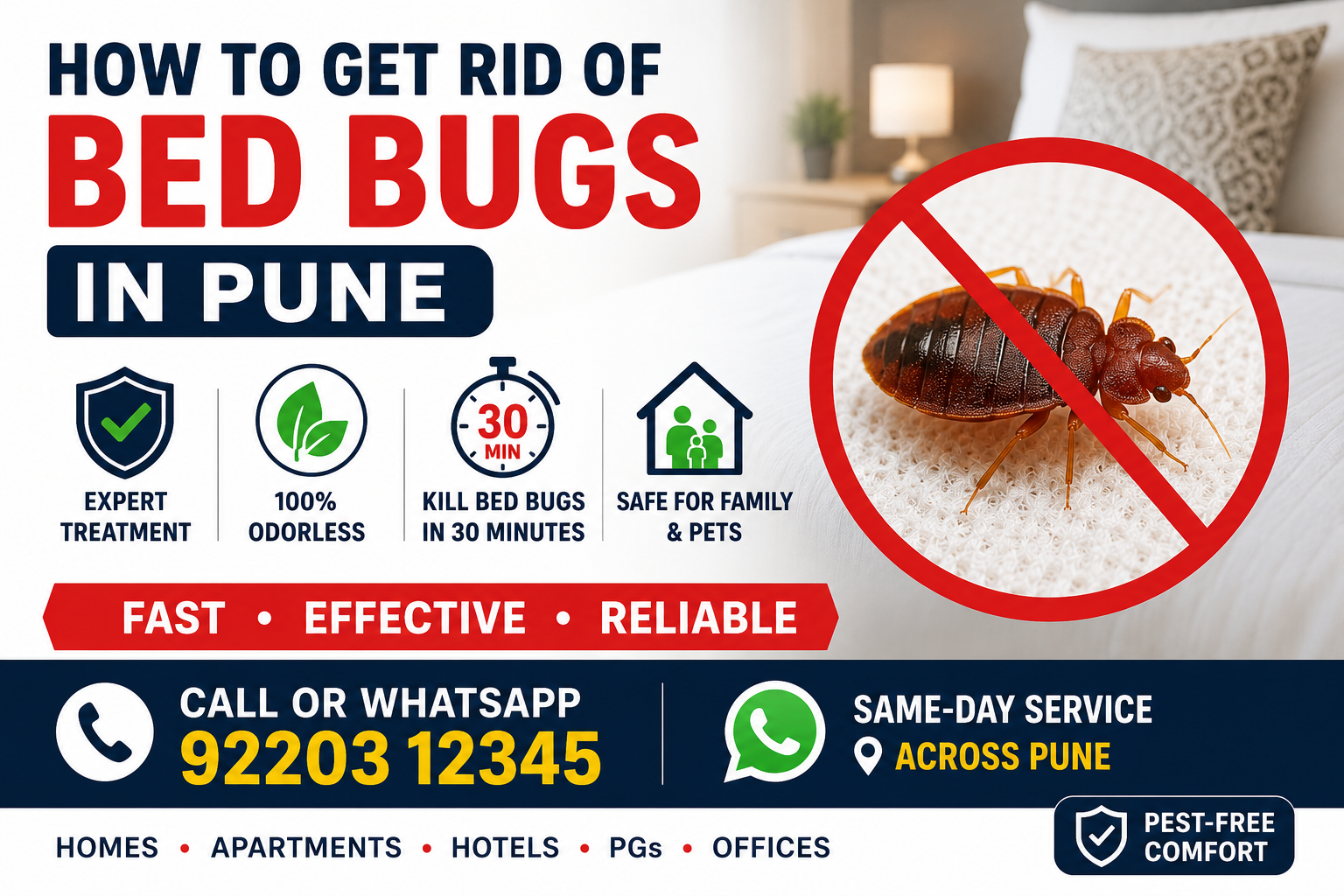 Bed Bug Control In Pune- How to Get Rid of Bed Bugs Permanently