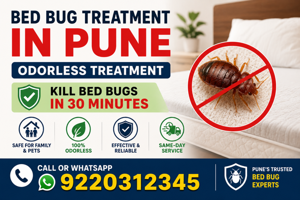 odorless bed bug treatment in pune