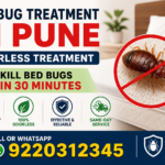Benefits of Choosing Odorless Bed Bug Treatment in Pune