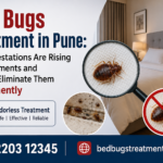Bed Bugs Treatment in Pune: Why Infestations Are Rising in Apartments and How to Eliminate Them Permanently