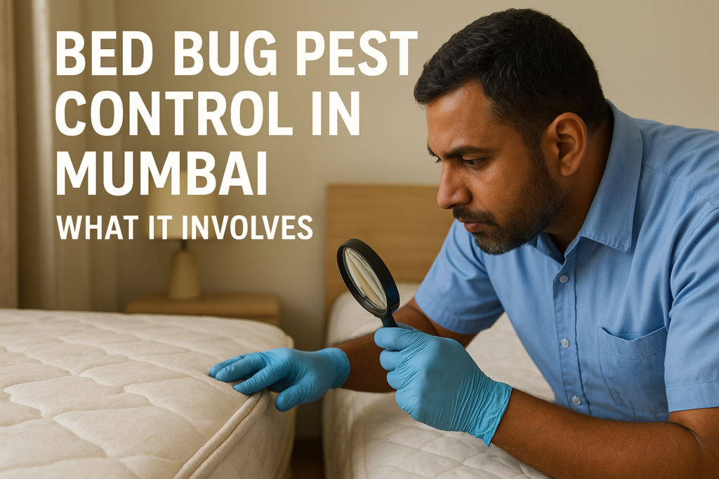 Bed Bug Pest Control in Mumbai: What It Involves