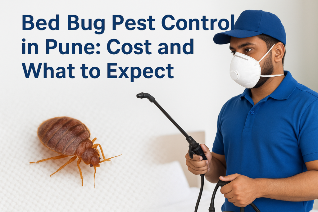 Bed Bug Pest Control in Pune: Cost and What to Expect